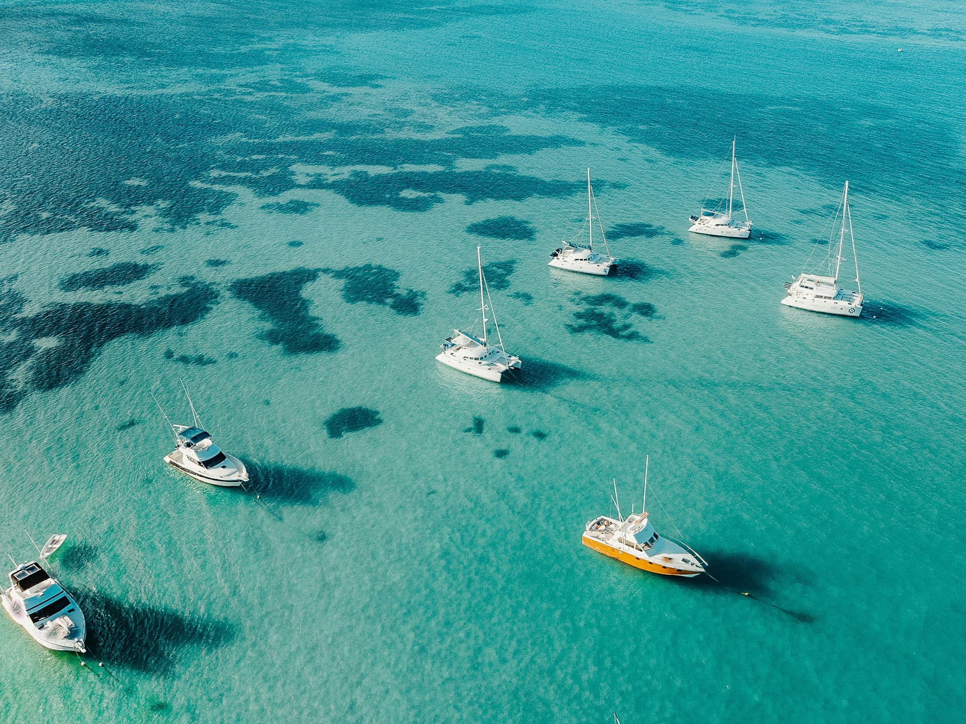 Croisière en Catamaran à l'Île aux Cerfs